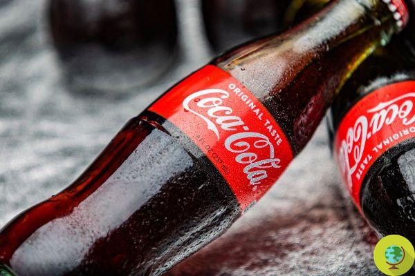 Coca Cola, cuidado com os fragmentos de vidro. Ligação Maxi, aqui estão os lotes