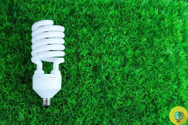 Queridos Bills: 20 idéias simples que você deve aplicar agora para economizar eletricidade