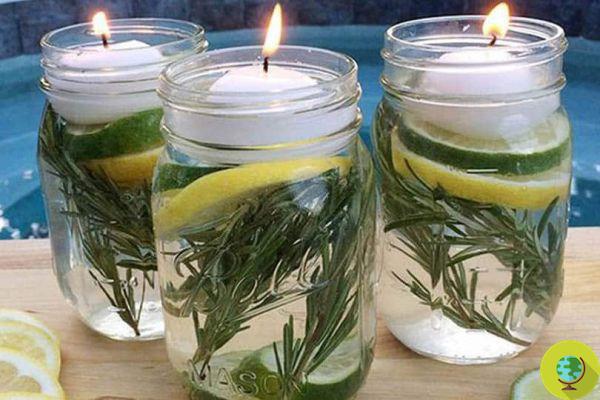 Natural and do-it-yourself anti-mosquito