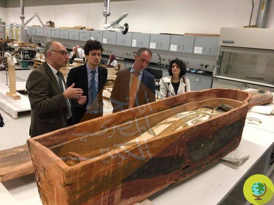 The largest archaeological museum in the world is about to open in Egypt