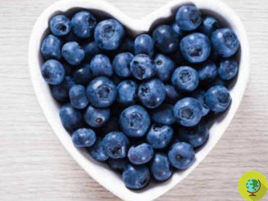 Blueberries: eaten regularly they lower the pressure in menopause
