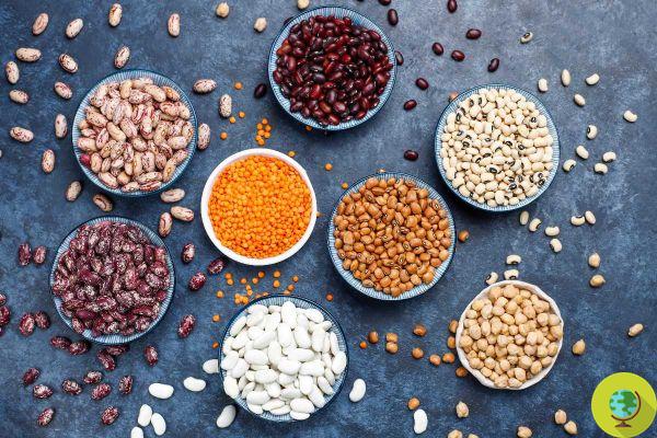 Why you should soak lentils and beans before cooking them