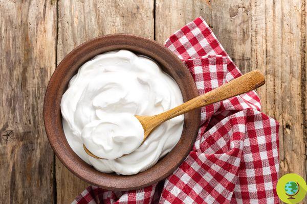 Kéfir y yogur: ¿cuáles son las diferencias y cuál preferir?