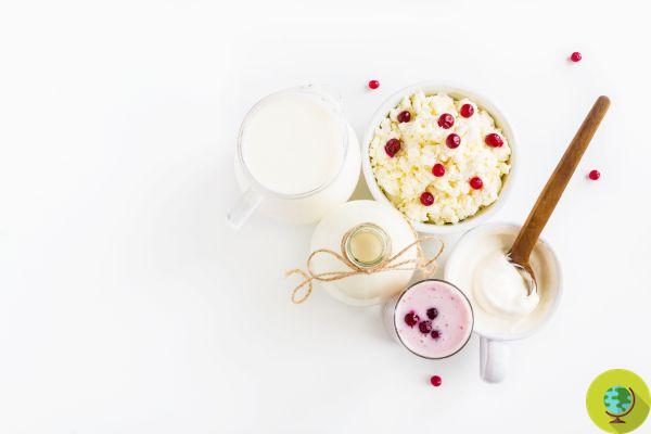 Kéfir y yogur: ¿cuáles son las diferencias y cuál preferir?