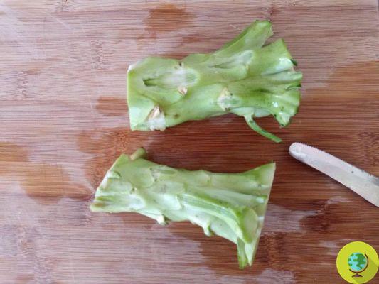 Nothing is thrown away from broccoli! How to reuse scraps to dress pasta at no cost