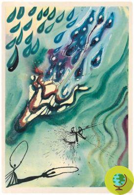 Alice au pays des merveilles : les belles illustrations de Salvador Dalì