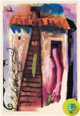 Alice au pays des merveilles : les belles illustrations de Salvador Dalì