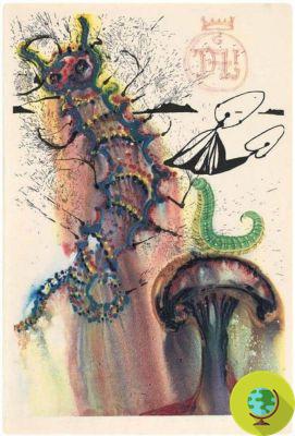 Alicia en el país de las maravillas: las bellas ilustraciones de Salvador Dalí