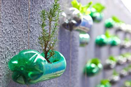 Vertical vegetable garden: a project to build it yourself