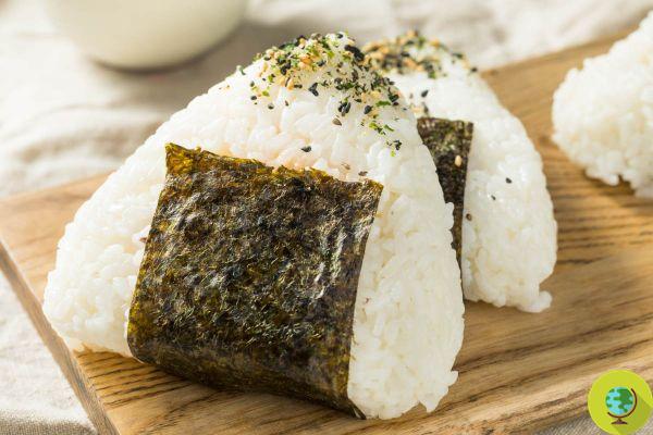 Onigiri: la receta de las bolas de arroz japonesas, inspirada en la obra maestra 