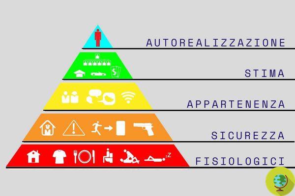 The 5 basic needs of every human being according to Maslow's pyramid