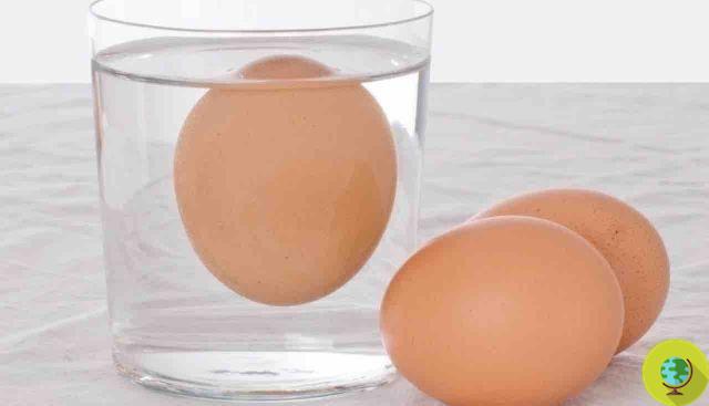 ¿Por qué es importante poner los huevos en agua antes de consumirlos?