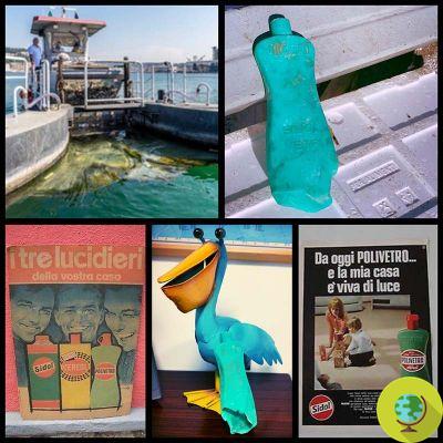 Pollution plastique : une bouteille d'il y a 50 ans a été retrouvée intacte dans le port d'Ancône