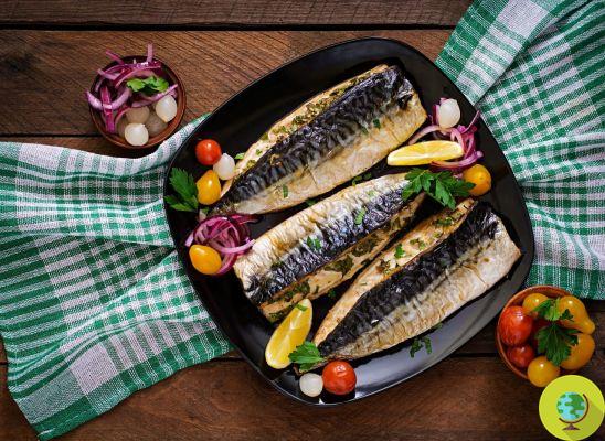 A diet with foods low in Omega-3 can reduce life expectancy even more than smoking according to this study