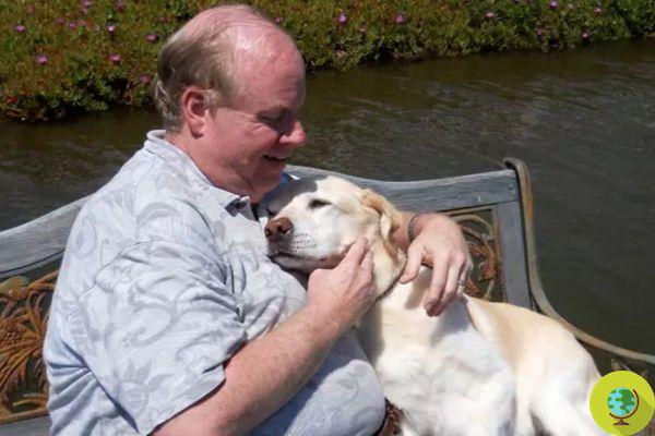 O cão herói que resgatou o dono cego e outras 11 pessoas no 30 de setembro
