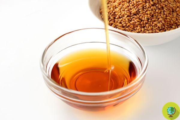 What happens to your body if you use a tablespoon of sesame oil as a mouthwash every morning on an empty stomach