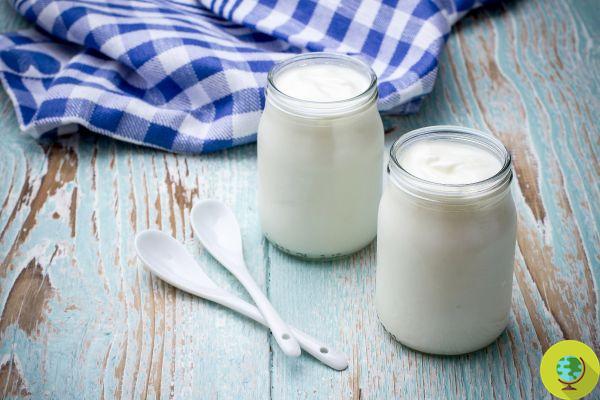 Greek yogurt: all the benefits you don't expect concentrated in one jar