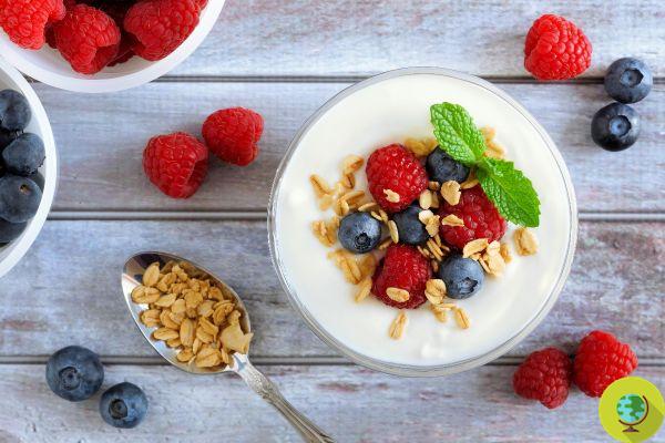 Greek yogurt: all the benefits you don't expect concentrated in one jar