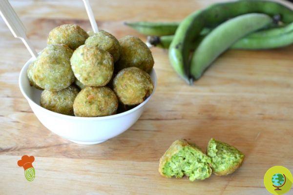 Falafel with broad beans, the recipe to prepare them at home