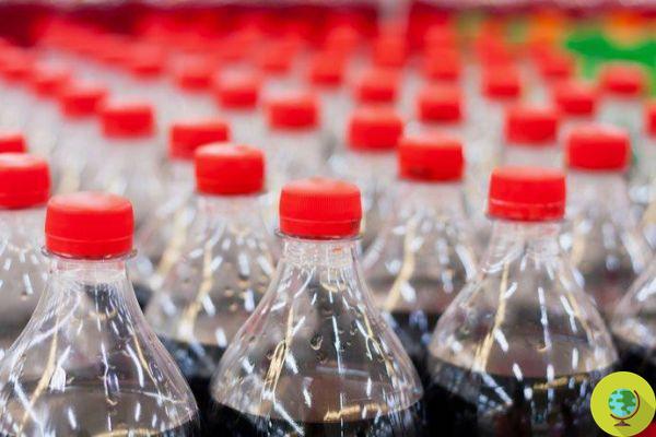 Coca Cola reciclará 100% das latas e garrafas até 2030, mas não o suficiente para salvar os oceanos do plástico