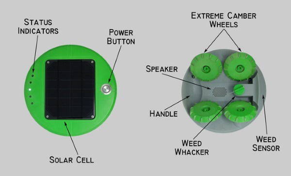 Tertill, the gardener robot who weeds with solar energy (PHOTO AND VIDEO)