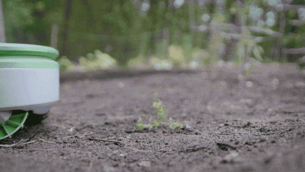 Tertill, le robot jardinier qui désherbe à l'énergie solaire (PHOTO ET VIDEO)