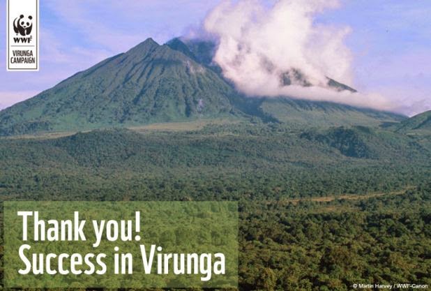 Pare de perfurar no parque Virunga: no Congo o panda vence o petróleo