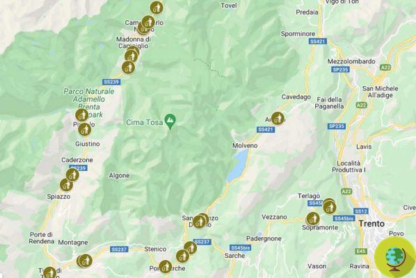 En Trentino, el mapa se creó para informar sobre contenedores problemáticos que atraen osos (y salvar osos)