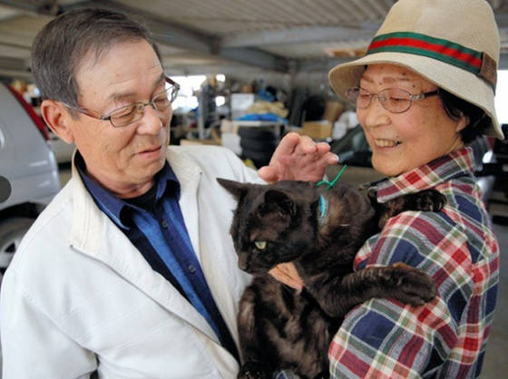 Suika, la gata perdida en el tsunami de Japón, regresa a casa después de 3 años