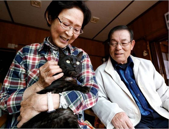 Suika, the cat lost in the Japan tsunami, returns home after 3 years