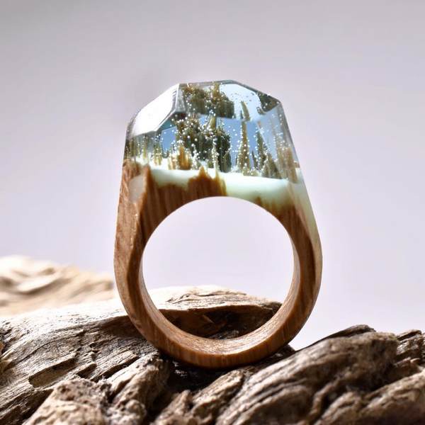 Les anneaux en bois qui renferment la nature et les merveilleux mondes secrets en miniature (PHOTO)