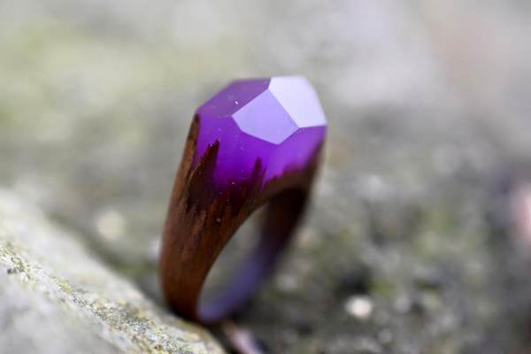 The wooden rings that enclose nature and wonderful secret worlds in miniature (PHOTO)