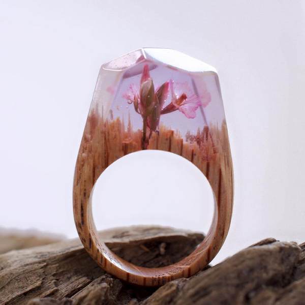 Os anéis de madeira que encerram a natureza e maravilhosos mundos secretos em miniatura (FOTO)