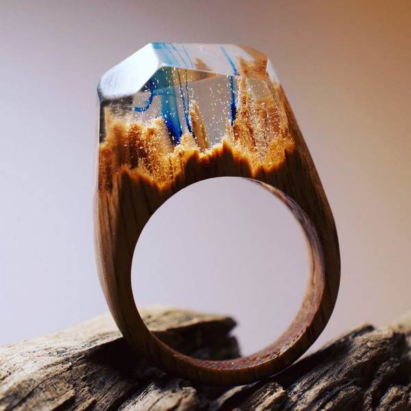Los anillos de madera que encierran la naturaleza y maravillosos mundos secretos en miniatura (FOTO)
