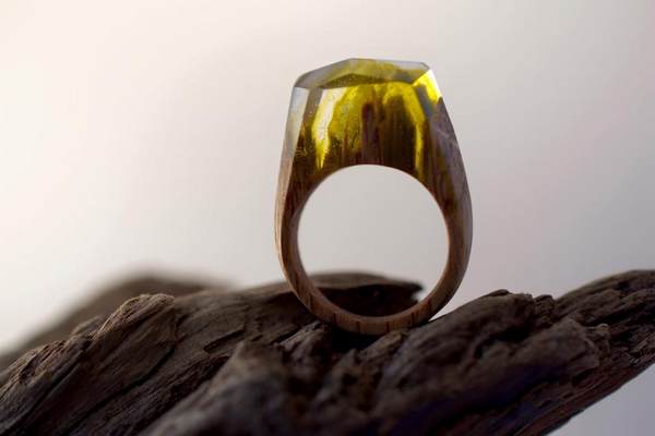 Los anillos de madera que encierran la naturaleza y maravillosos mundos secretos en miniatura (FOTO)