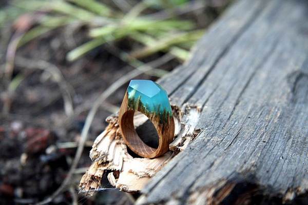 The wooden rings that enclose nature and wonderful secret worlds in miniature (PHOTO)
