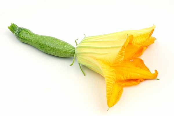 Fleurs de courgette : propriétés, calories et comment les cuisiner au mieux