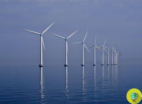 Wind energy: offshore parks reduce hurricanes