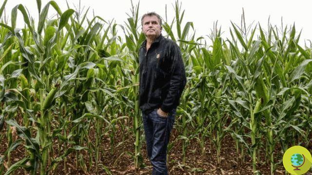 Monsanto: de Francia la primera condena histórica por envenenamiento con herbicida