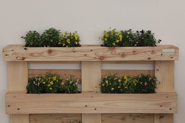 Potager sur le balcon : comment faire un coin de verdure avec des palettes