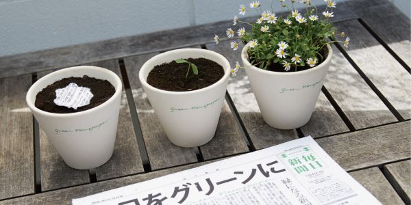 10 items that can be planted after use