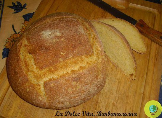 Cómo reciclo la harina de maíz: la receta del pan de polenta
