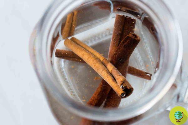 Cinnamon water: 10 amazing reasons to drink a cup a day (and how to make it)
