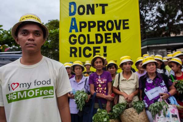 108 Nobel laureates in favor of GMOs: is trans rice really the solution to world hunger? (VIDEO)