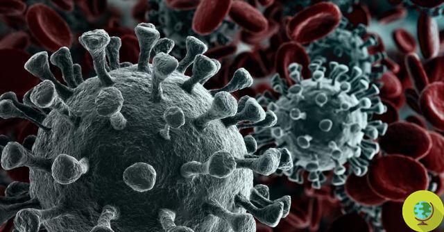 Coronavirus, artificial intelligence arrives for diagnosis in 20 seconds