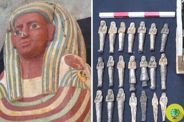 Nova descoberta arqueológica notável no Egito: outros 50 sarcófagos intactos que datam de 3000 anos atrás encontrados