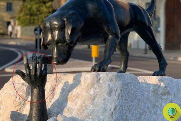 The monument to the rescue dogs of the L'Aquila earthquake has been vandalized