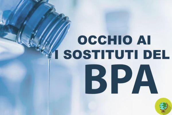 Incluso el plástico sin BPA es malo para la salud: el estudio de choque