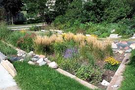 Rain Gardens: 10 new gardens thanks to the collection of rainwater