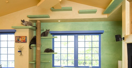 A casa transformada no paraíso dos gatos (FOTO)